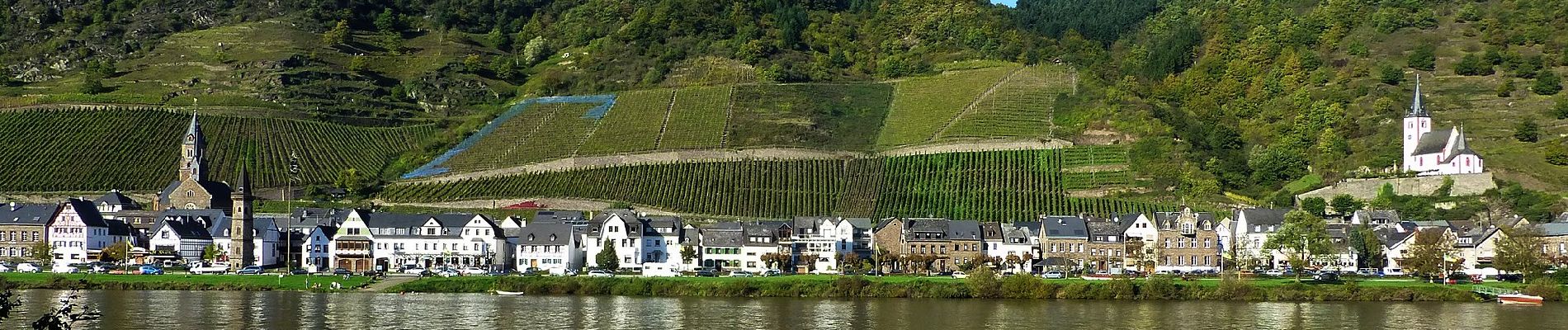 Tour Zu Fuß Löf - Traumpfädchen Löfer Rabenlaypfad - Photo