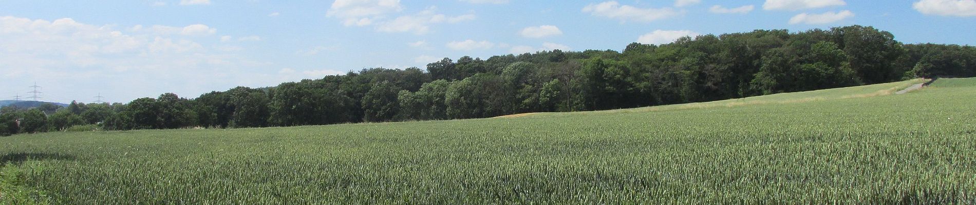 Randonnée A pied Schwerte - Rundweg um Schwerte S - Photo