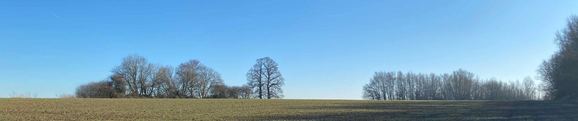 Tour Wandern Braine-l’Alleud - Golf des 7 fontaines - GR12 - Photo