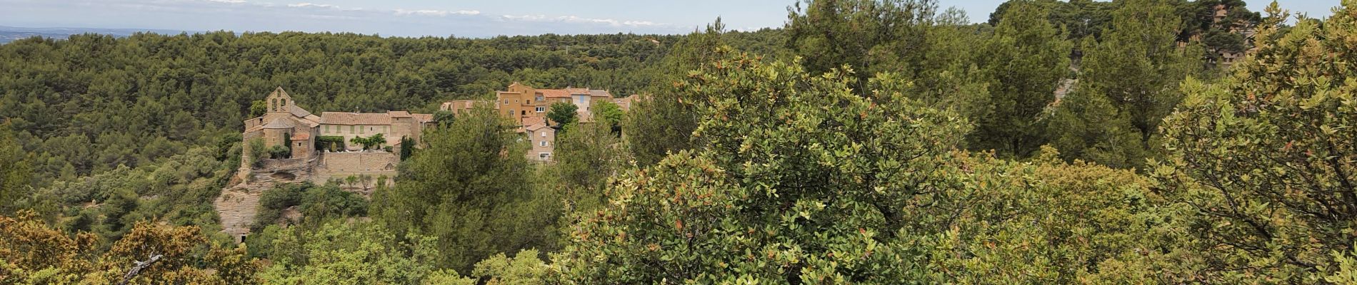 Tour Wandern Saumane-de-Vaucluse - autour de Saumane  - Photo