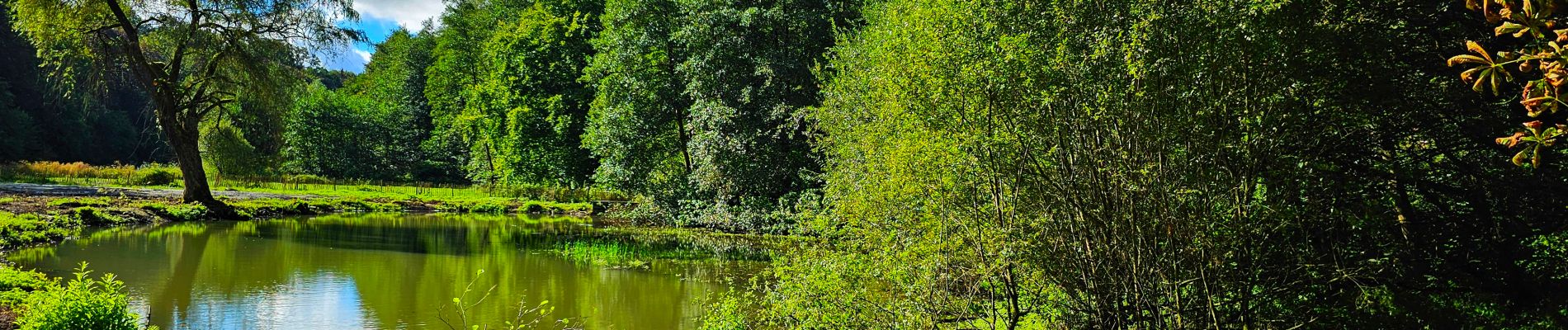 Tour Wandern Hamois - Marche Adeps à Natoye - Photo