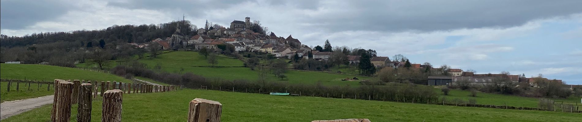 Trail Walking Saint-Thiébault - Bourmont sentier dans les bois  - Photo