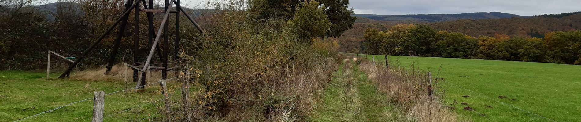 Randonnée Marche Érezée - Mormont - Clerheid  7km - Photo