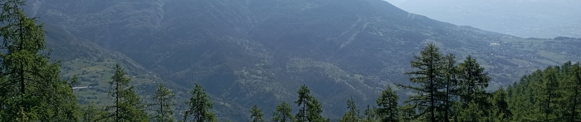 Tour Wandern Réallon - Serre-Ponçon 06 06 2024 (Réallon) - Photo