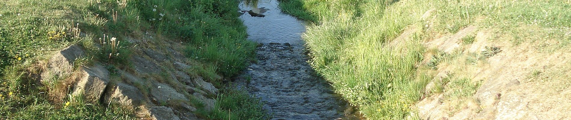 Tocht Te voet Goldbach - Philipp-Endemann-Weg - Photo