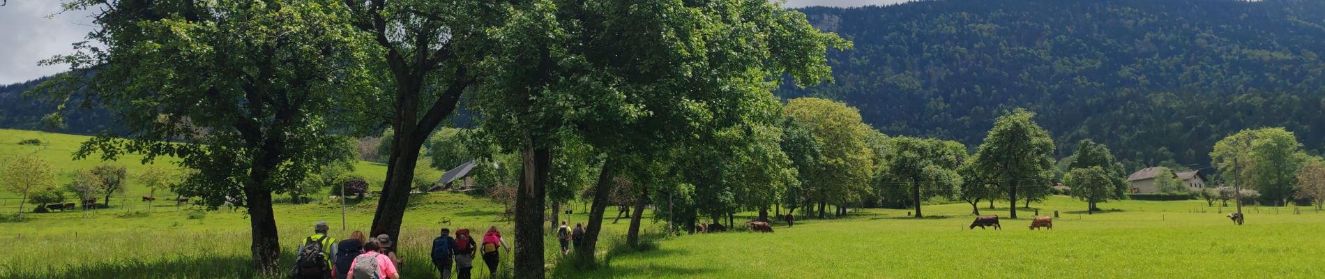 Tocht Stappen Sevrier - Annecy jour 5 - Photo