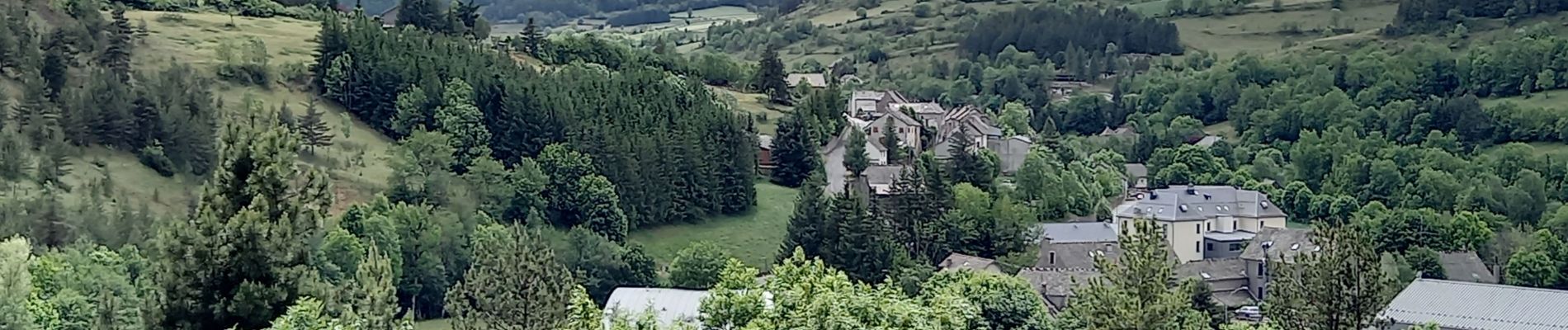 Tocht Stappen Mont Lozère et Goulet - Stevenson étape 7 - Photo