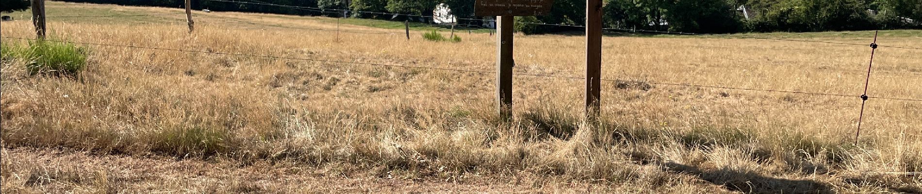 Percorso A piedi Stoumont -  Marche Adeps Rahier 12 Km  - Photo