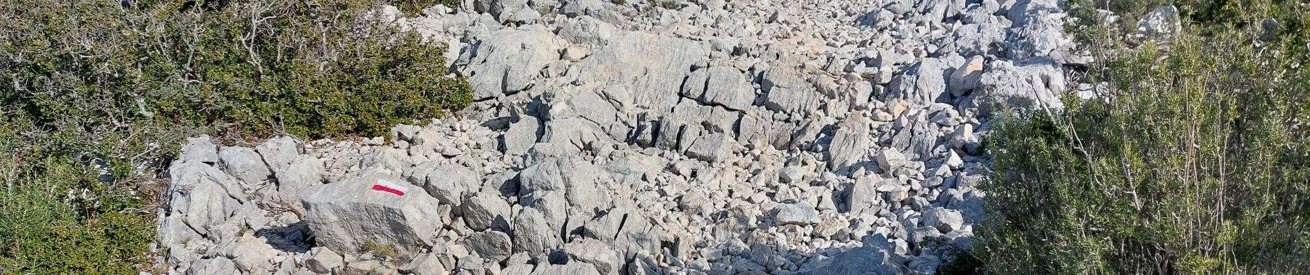 Tocht Stappen Le Castellet - gros  cerveau  par GR 51 depuis l'ouest  - Photo