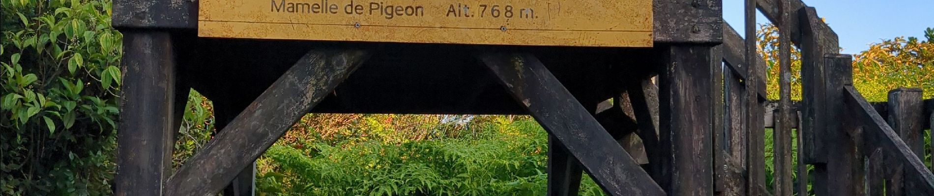Trail Walking Pointe-Noire - la mamelle au pigeon  - Photo