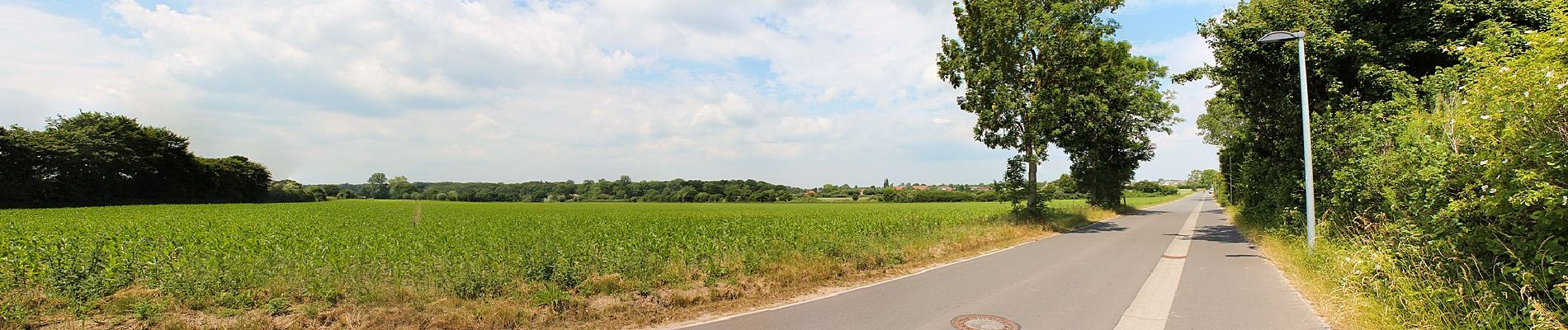 Tour Zu Fuß Dahme - Dahmer Gehege-Tour - Photo