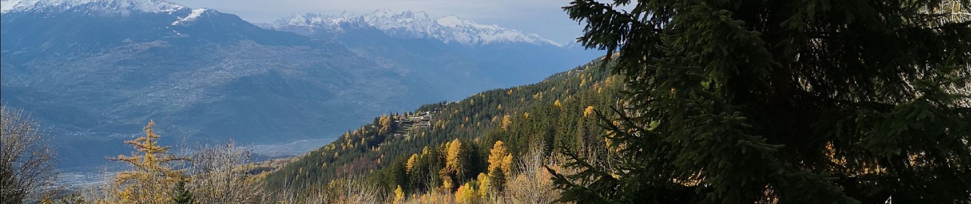 Excursión Marcha nórdica Arbaz - les évouettes  - Photo