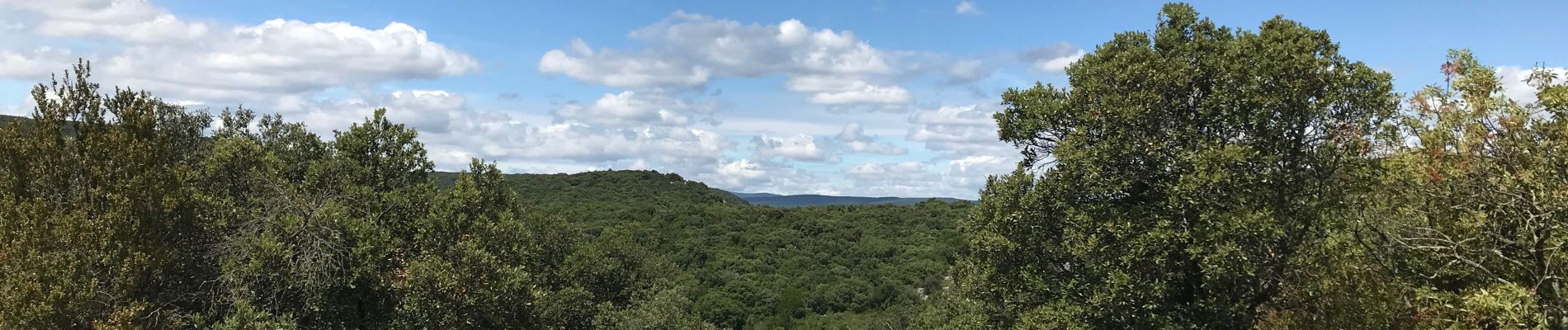 Tour Wandern Saint-Gély-du-Fesc - Saint gel y/ Murles - Photo