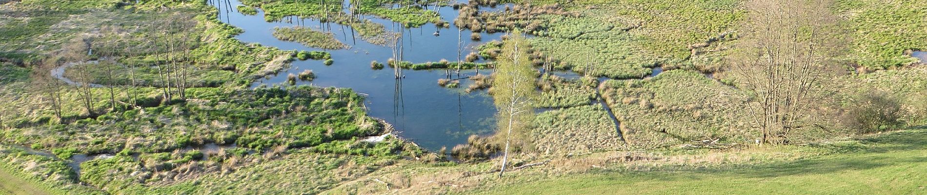 Trail On foot Motten - Der Mottener - Photo