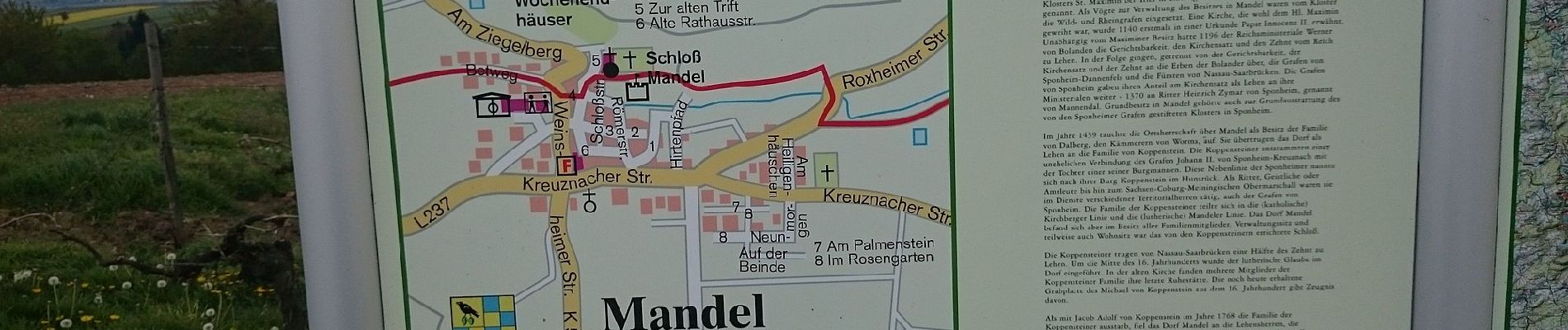 Tocht Te voet Sankt Katharinen - Klosterweg - Photo