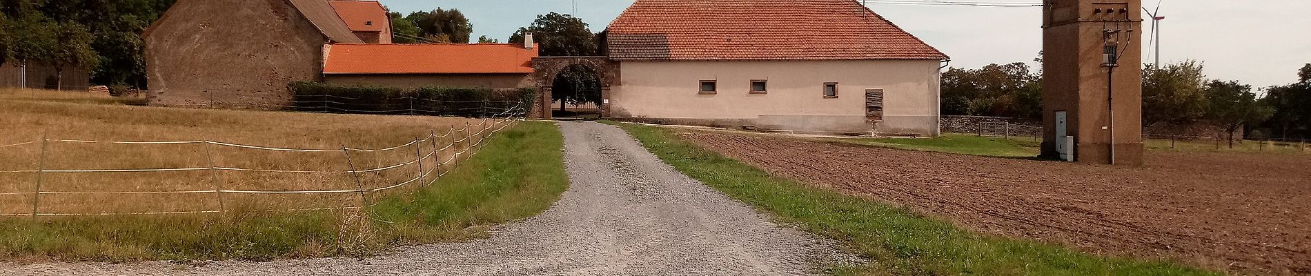 Excursión A pie Freudenberg - Rundwanderweg Freudenberg, F3, Dürrhof-Weg - Photo