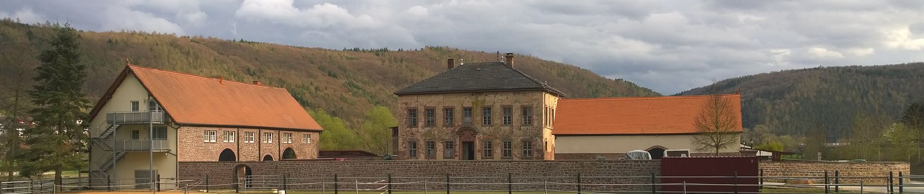 Tour Zu Fuß Lohr am Main - Methusalem Wanderweg Braune Route - Photo