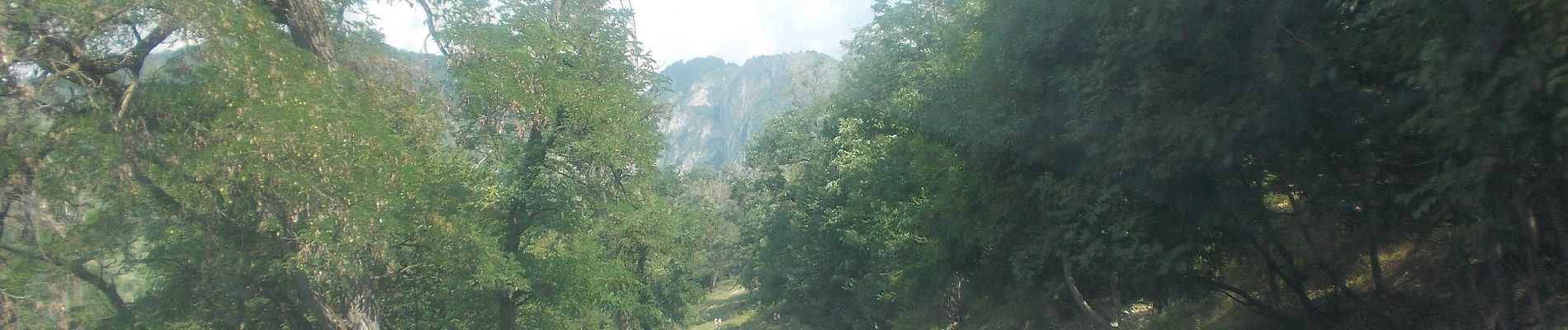 Excursión A pie Desconocido - Polovragi - Crucea Lui Ursache - Luncile Oltețului - Photo