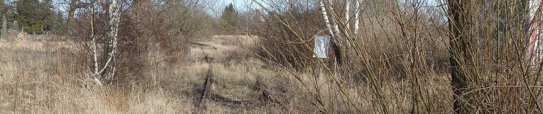 Tour Zu Fuß Ziesar - Naturparkrundwanderweg 51 