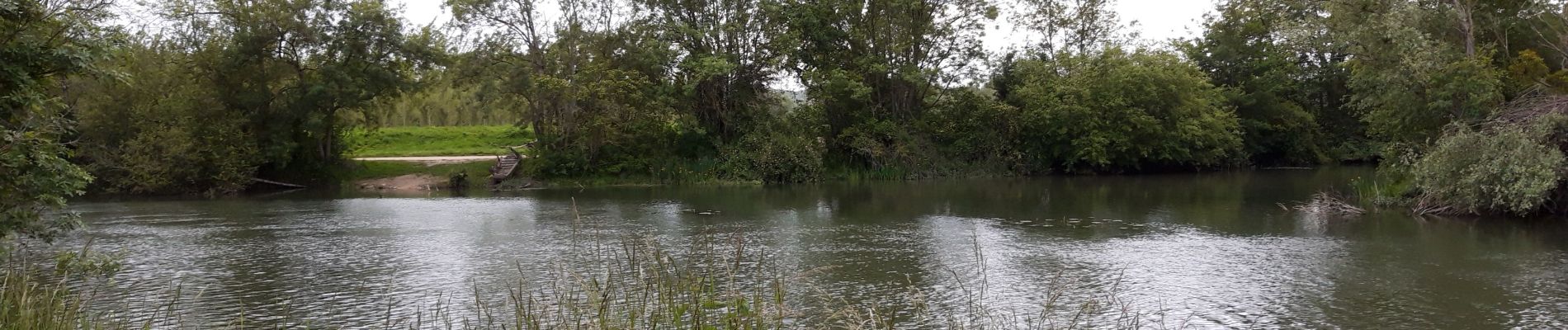 Tocht Stappen Rivarennes - rivarennes - Photo