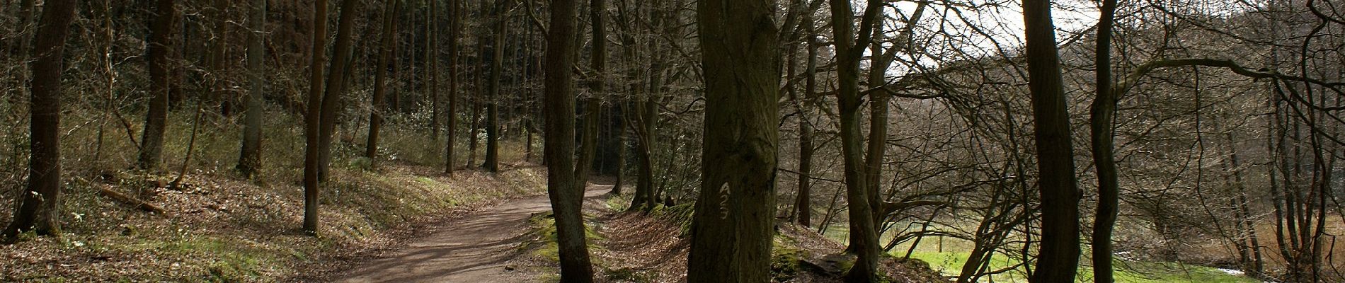 Tour Zu Fuß Witten - Bergbauwanderweg Muttental - Photo