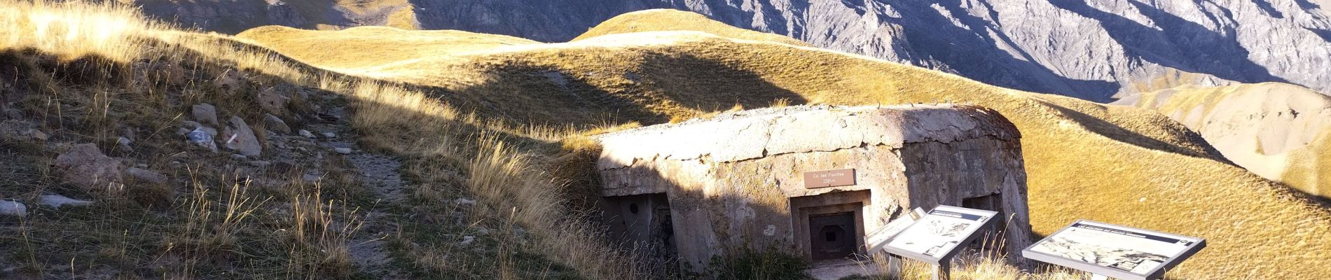 Tour Wandern Saint-Dalmas-le-Selvage - cime de pelousette  - Photo