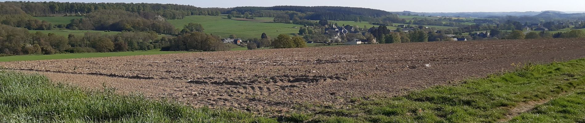 Trail Walking Havelange - Chardeneux  ac 2 - Photo