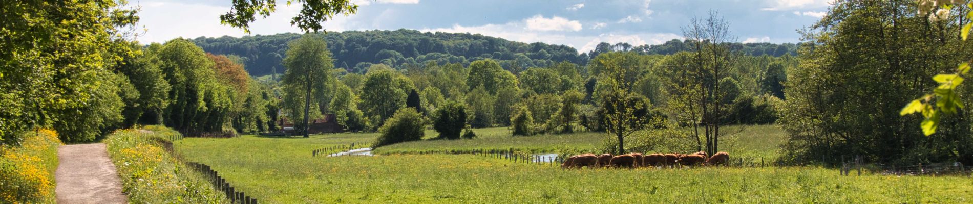 Trail Walking Sablons sur Huisne - Les Chemins de l'histoire 12,0 Km - Photo