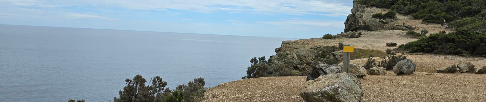 Trail Walking Hyères - Rando Porquerolle - Photo