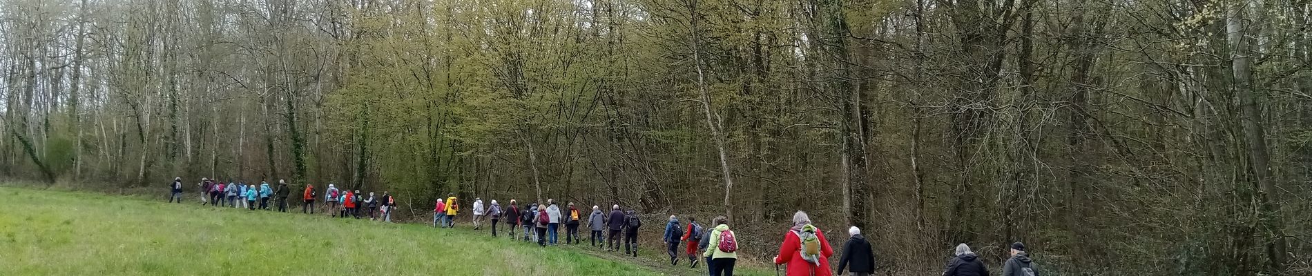 Trail Walking Nogent-l'Artaud - Nogent l'Artaud du 27-03-2023 - Photo