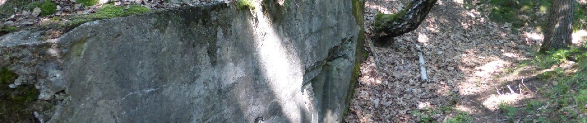 Tour Zu Fuß Maasmechelen - Mechels Bos Paarse trapezium - Photo