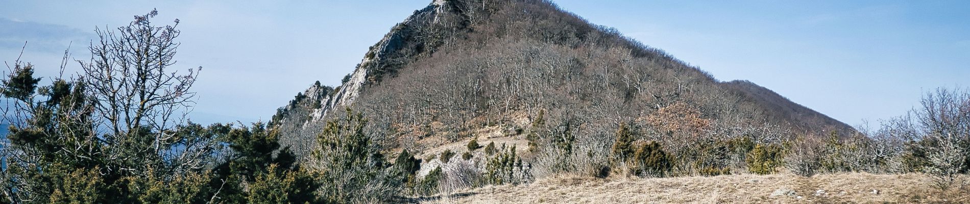 Tour Wandern Saou - Forêt de Saoû - Les Pomerolles - Photo