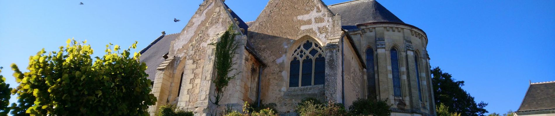 Excursión Senderismo Reugny - Reugny - Neuillé-le-Lierre - 16.2km 320m 3h15 - 2019 02 03 - Photo