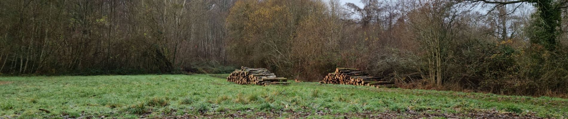 Randonnée Marche Villedômer - Villedomer - Étang de l'Arche - Photo