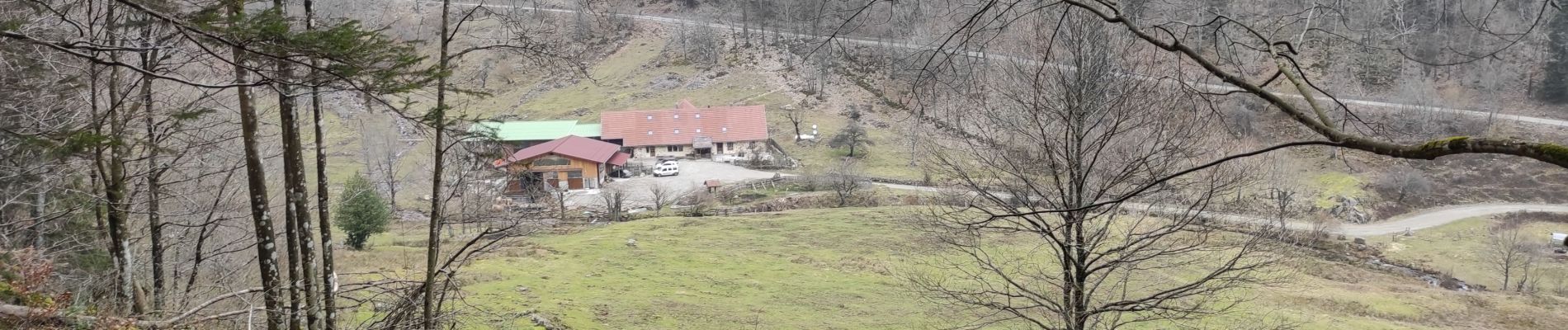 Tocht Stappen Sewen - Lac d Akfeld Boedelen - Photo