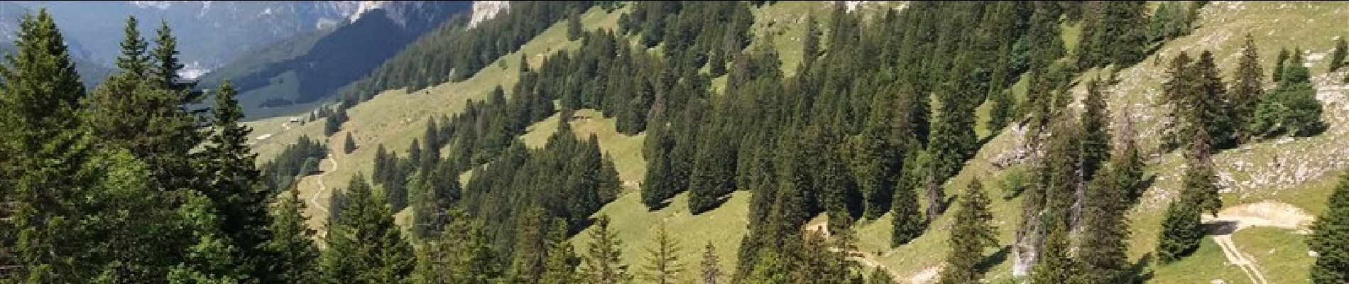 Tocht Stappen Glières-Val-de-Borne - GLIERES: TOUR DE LA MONTAGNE DES FRETES - Photo