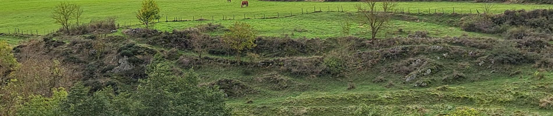 Tocht Stappen Saint-Haon - le nouveau Monde - Photo