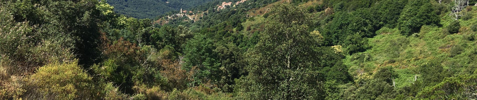 Tour Wandern Balogna - Balogna, Madre crêtes  - Photo