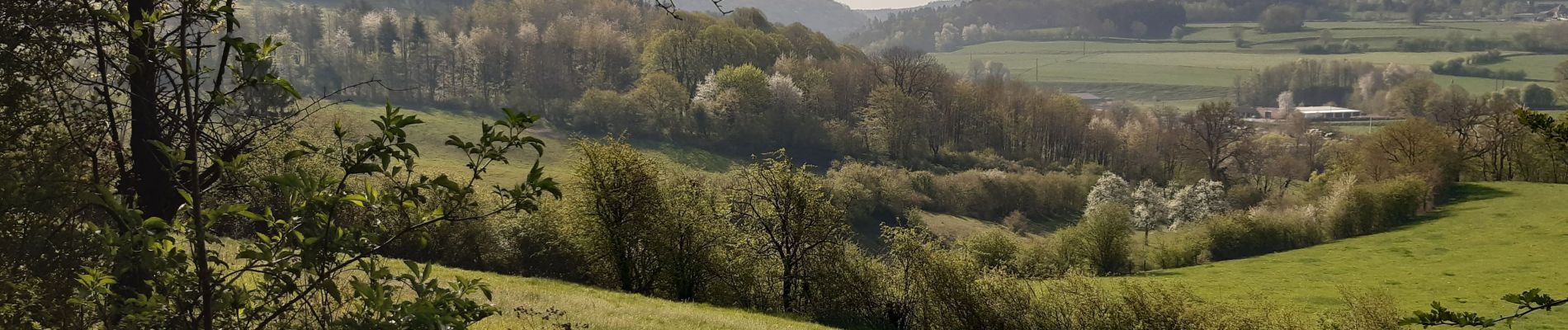 Tocht Stappen Limburg - covi 19  - Photo