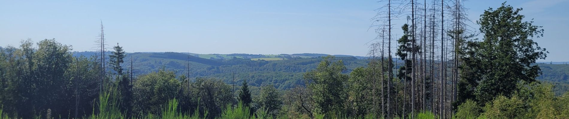 Tocht Stappen Houffalize - rando nadrin 10-09-2023 - Photo