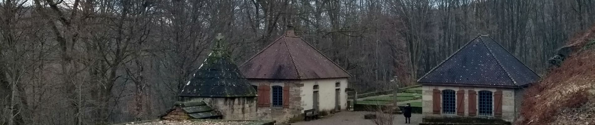 Randonnée Marche Fougerolles-Saint-Valbert - 10-01-20 parc animalier + parcours santé - Photo