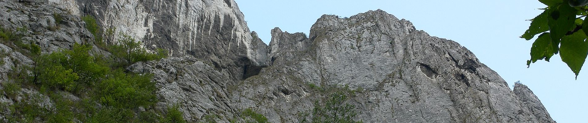 Randonnée A pied Petreștii de Jos - Circuitul Cheilor Turzii - Photo