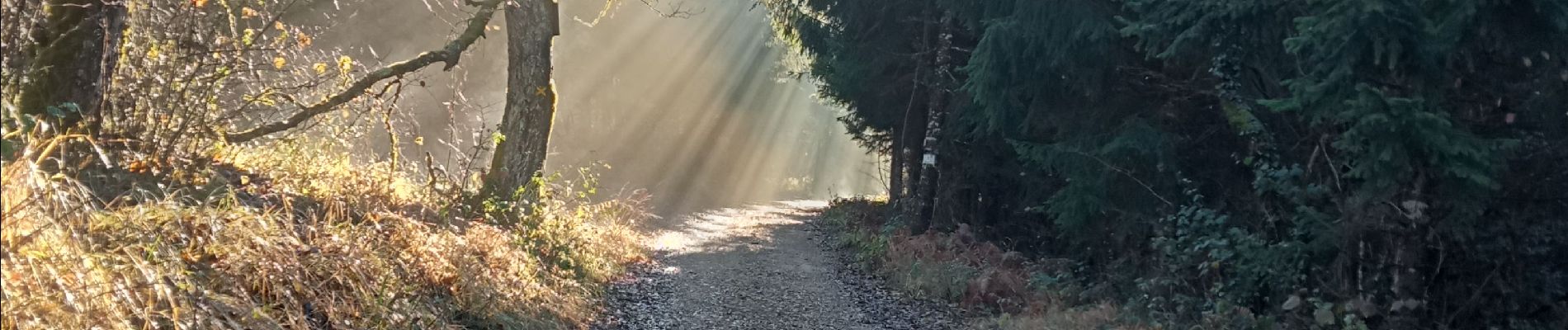 Trail Walking Ambérieu-en-Bugey - allymes reel - Photo