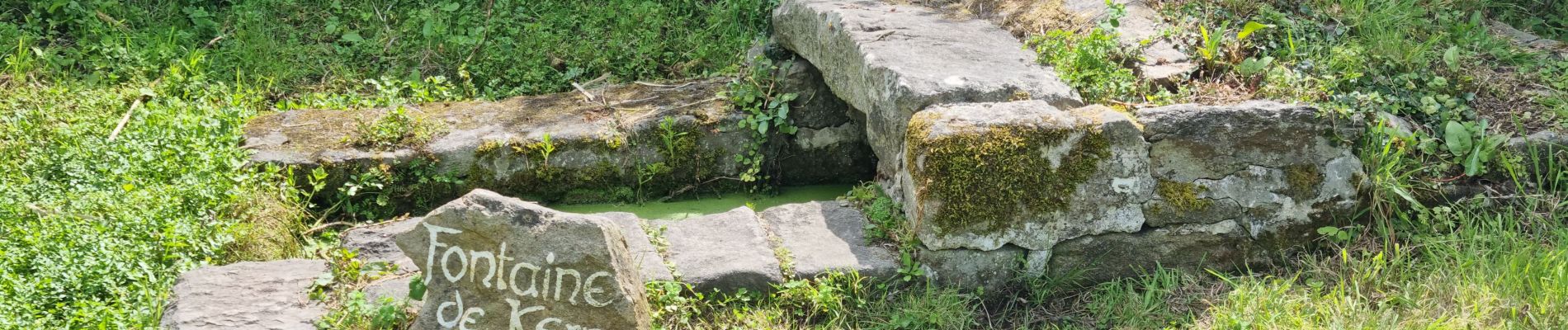 Trail Walking Île-aux-Moines - île aux moines 29 juillet 2021 - Photo