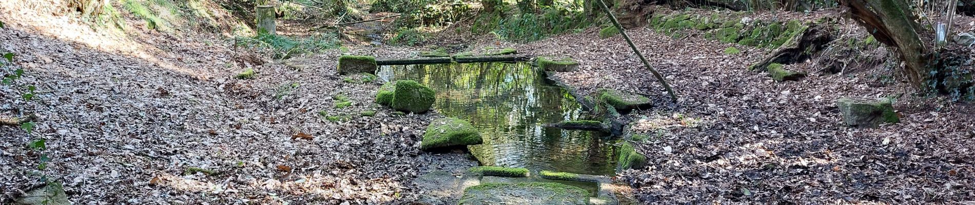 Trail Walking Baud - PR_56_Baud_AA_01_Circuit1b_Des-Landes-De-Kerbraz_20230212 - Photo