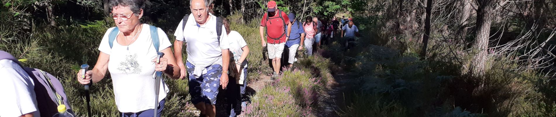 Percorso Marcia Sorges et Ligueux en Périgord - sorges ouest  - Photo