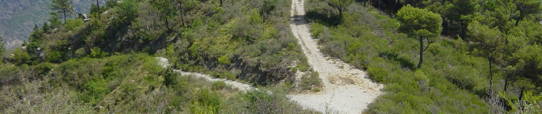 Trail On foot Ventimiglia - Sentiero Balcone Mediterraneo T1 - Photo