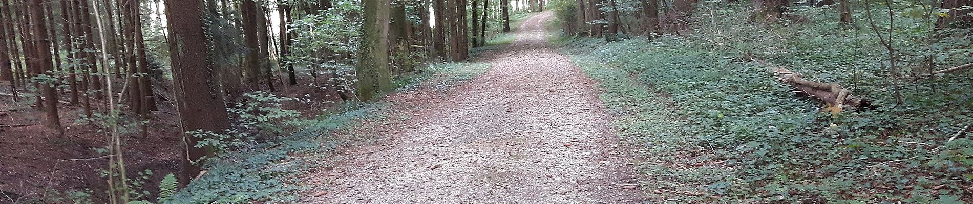 Tour Zu Fuß Oberglatt - Oberglatt - Dielsdorf - Photo