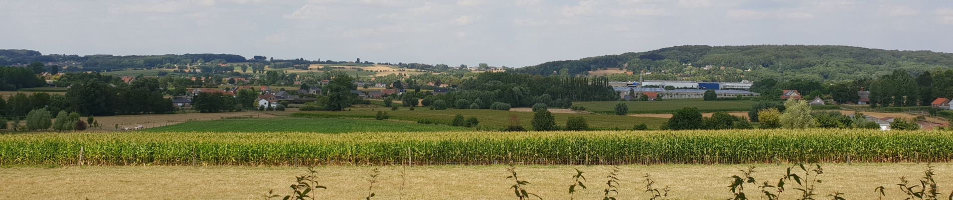 Excursión Bici eléctrica Ronse - Renaix - Ellezelles - Croisette - Saint-sauveur - Photo