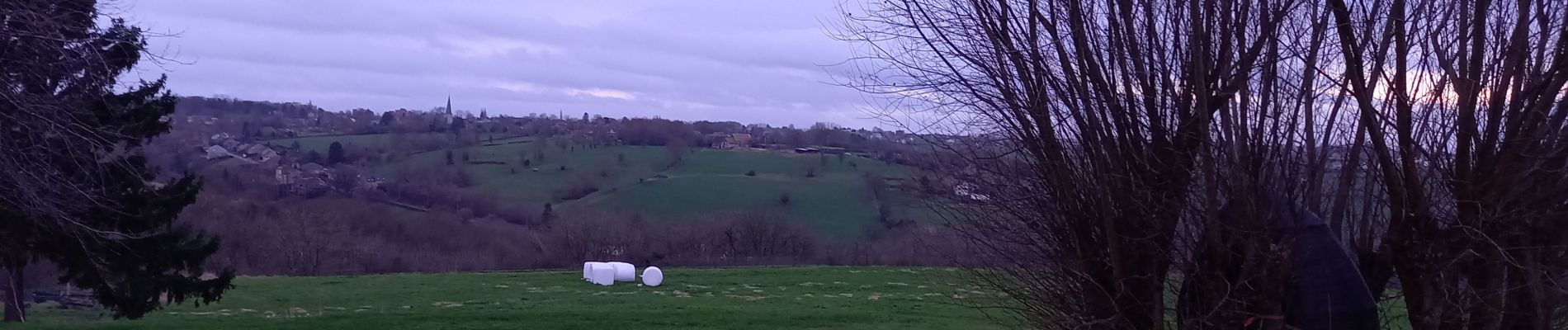 Tour Wandern Beyne-Heusay - Beyne Heusay - Balade du lynx  - Photo